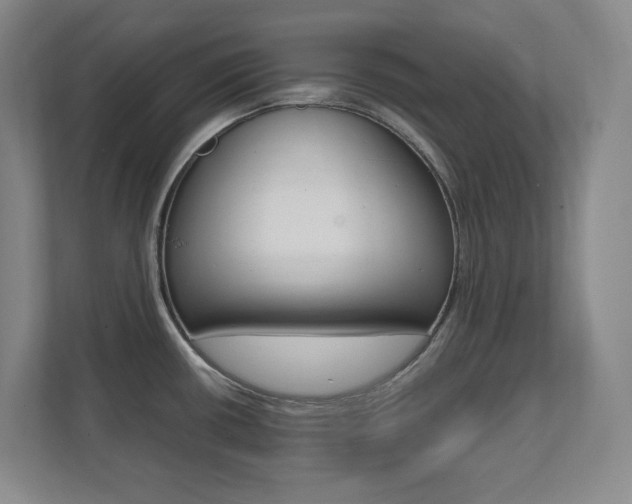 X0000112041434200908031033