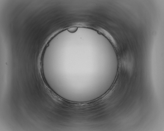 X0000112041435200908031033