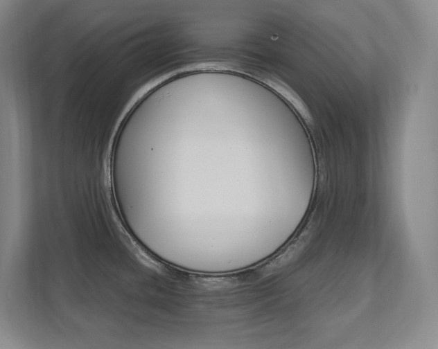 X0000112041436200908031033