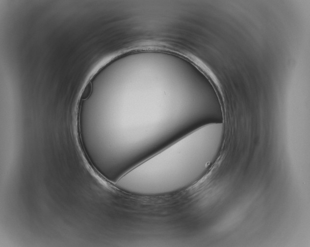 X0000112041437200908031033