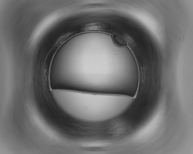 X0000112041438200908031033