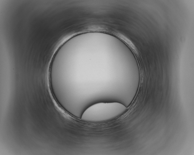 X0000112041439200908031033