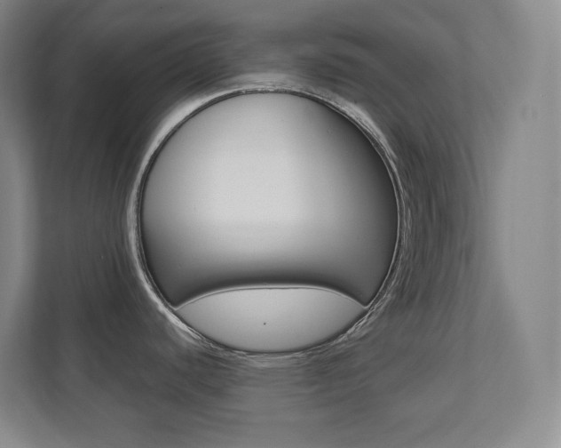 X0000112041440200908031033