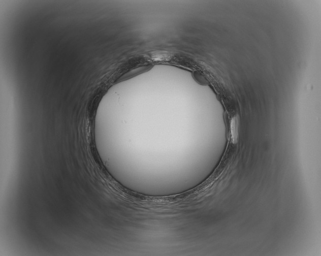 X0000112041443200908031033
