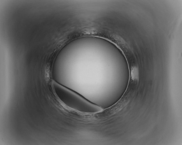 X0000112041444200908031033