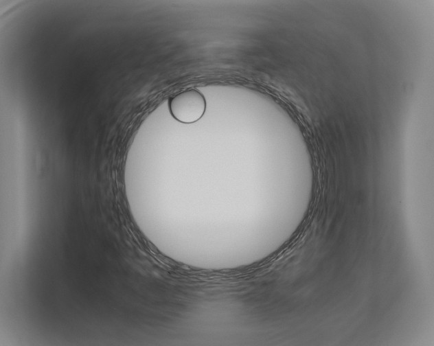 X0000112041445200908031033
