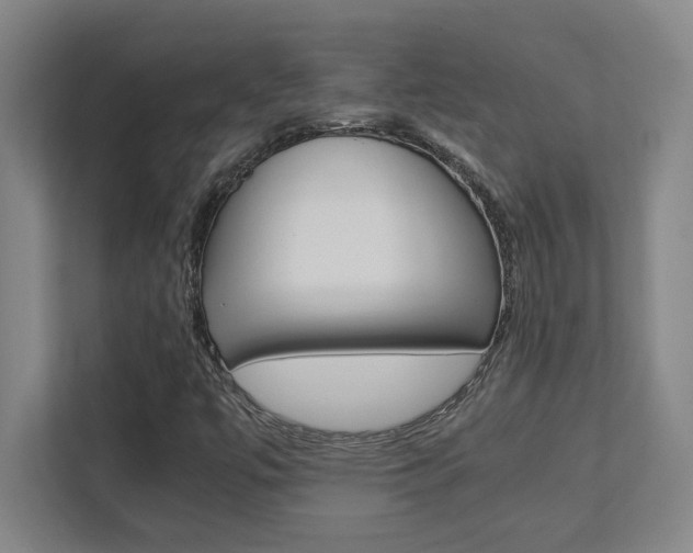 X0000112041447200908031033