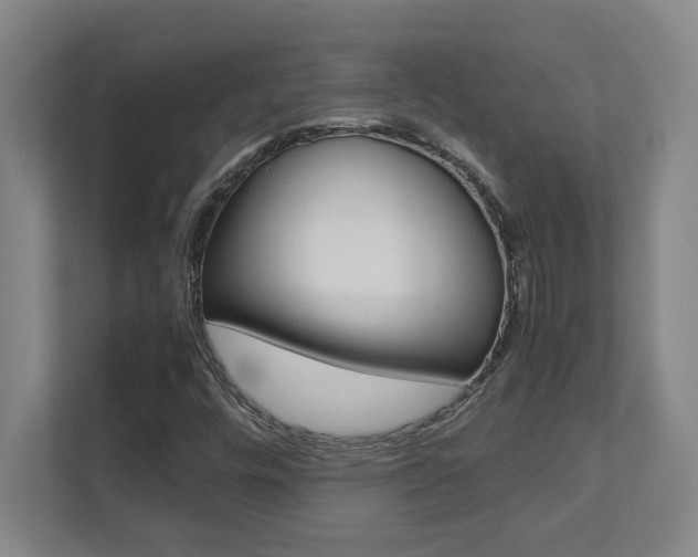 X0000112041448200908031033