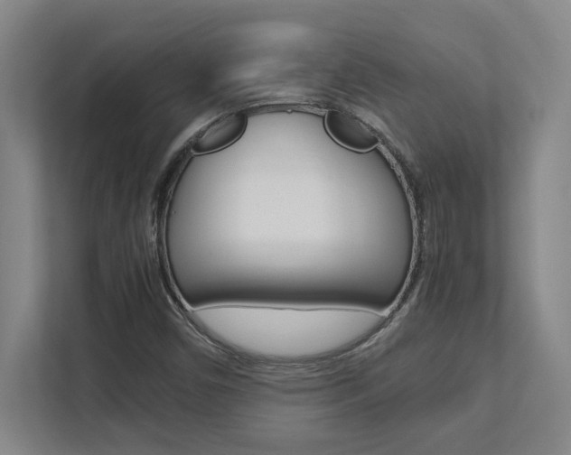X0000112041450200908031033