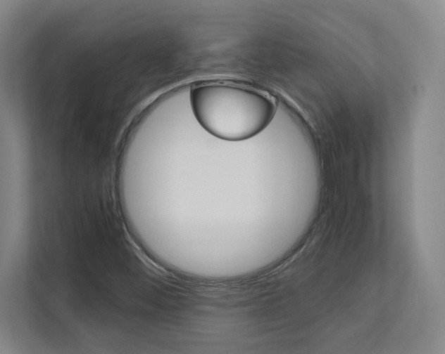 X0000112041452200908031032