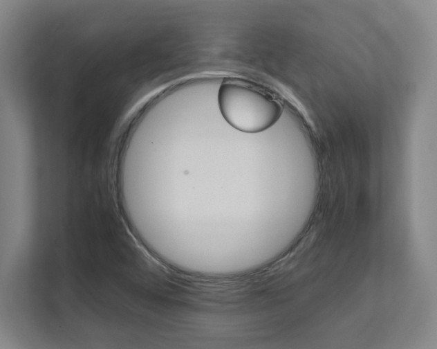 X0000112041456200908031032