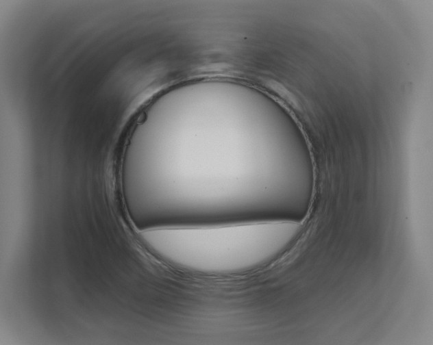 X0000112041458200908031032