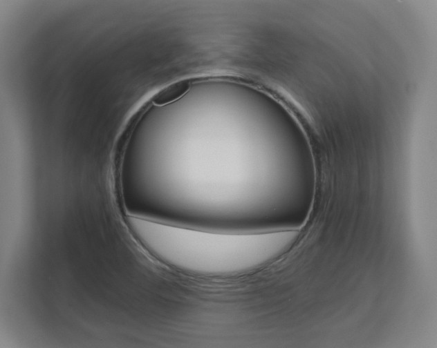 X0000112041460200908031032