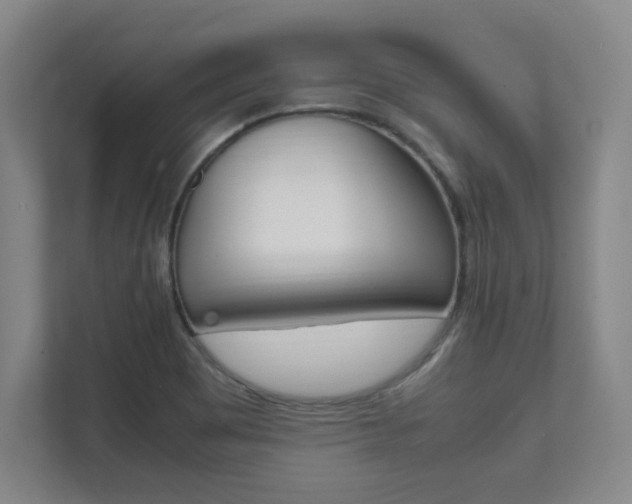 X0000112041465200908031032