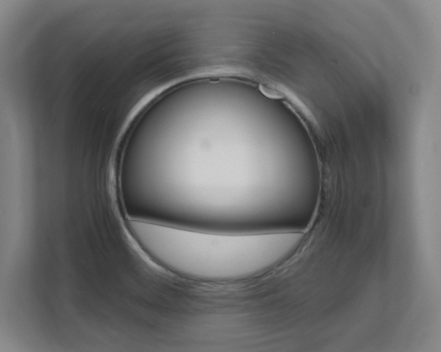 X0000112041468200908031032