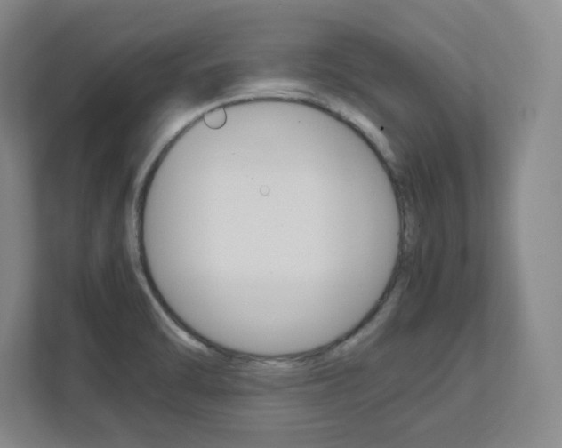X0000112041470200908031032