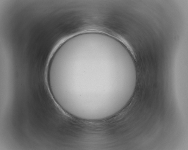 X0000112041472200908031032