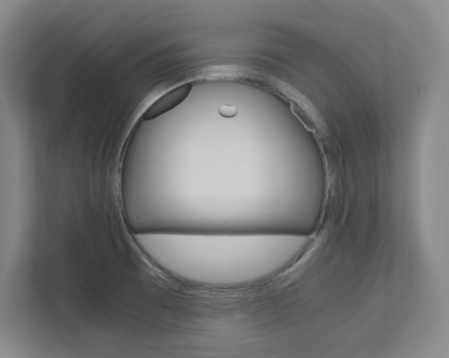 X0000112041473200908031032