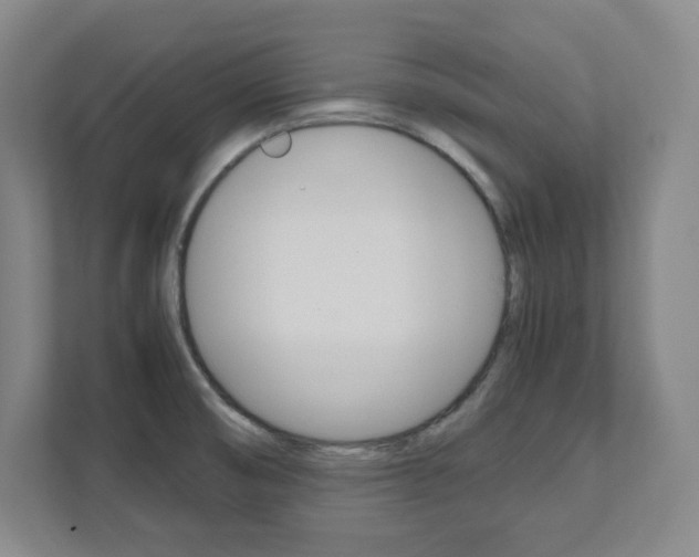 X0000112041474200908031032