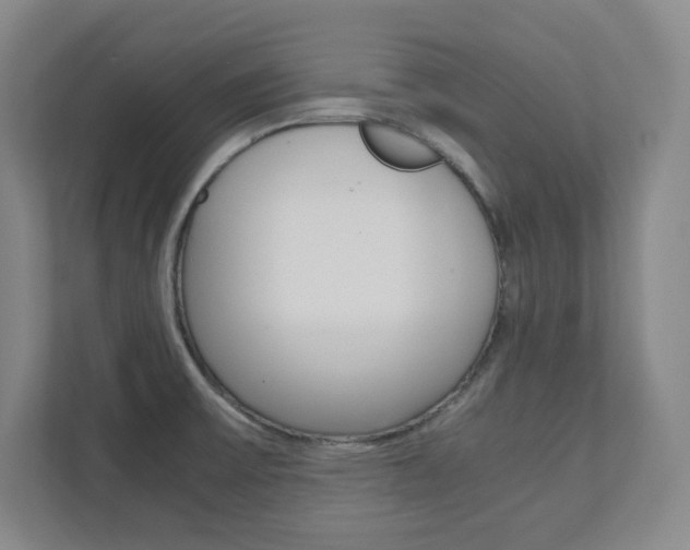 X0000112041475200908031032