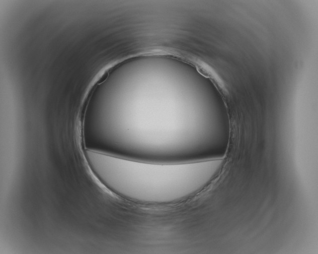 X0000112041476200908031032