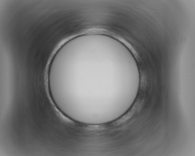 X0000112041478200908031032