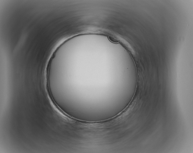 X0000112041479200908031032
