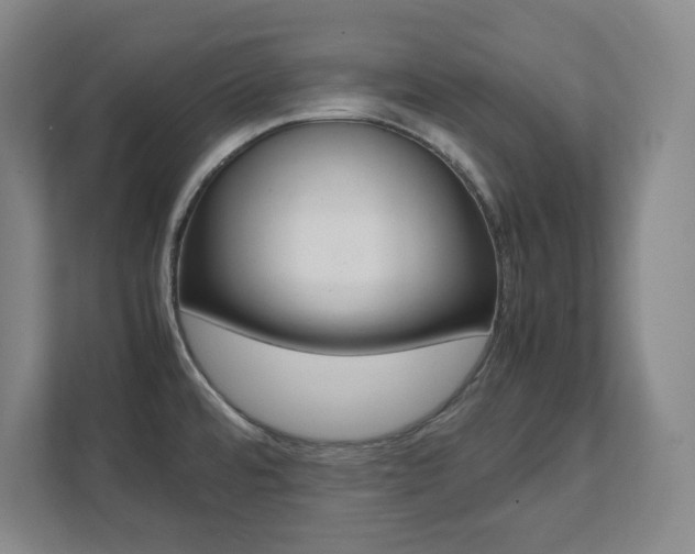 X0000112041480200908031032