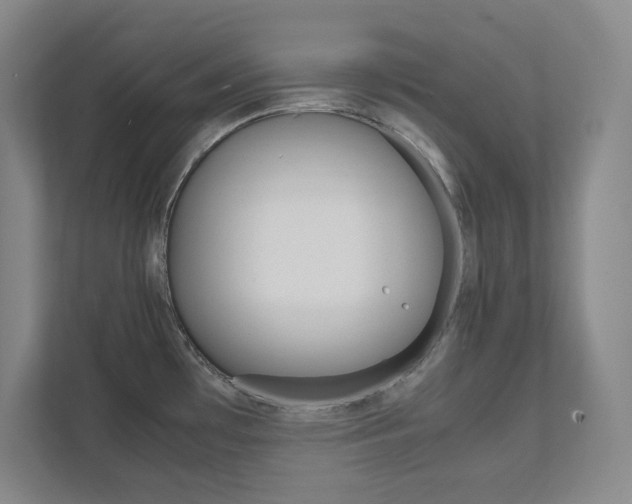 X0000112041481200908031032