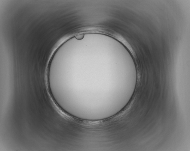 X0000112041482200908031032