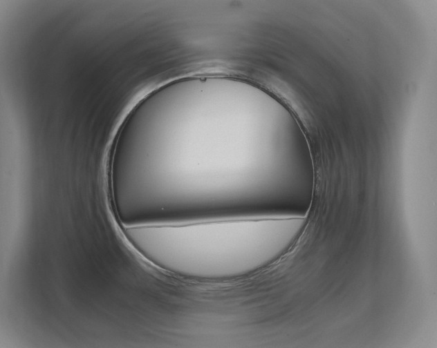 X0000112041483200908031032