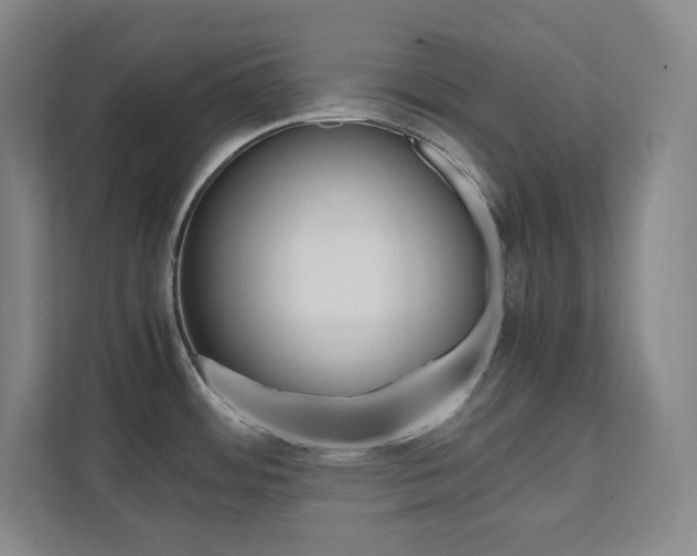 X0000112041484200908031032