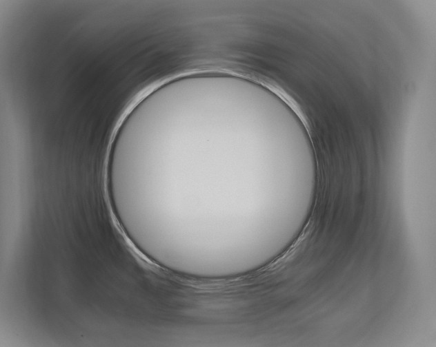 X0000112041485200908031032