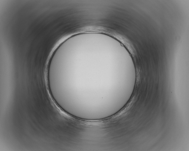 X0000112041486200908031032