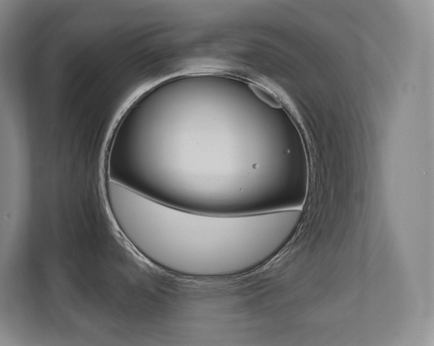 X0000112041488200908031032