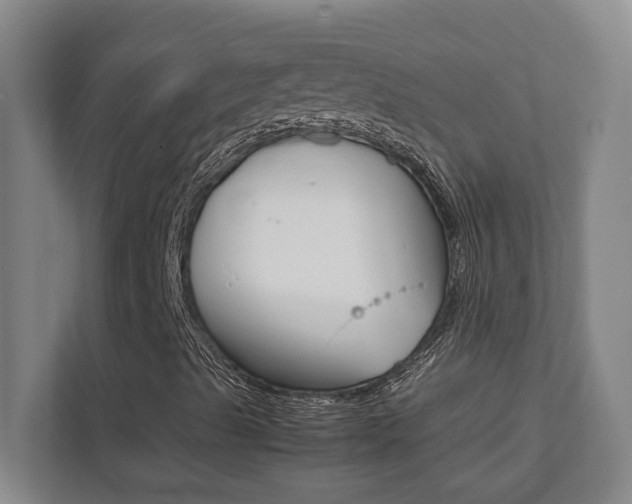 X0000112041489200908031031