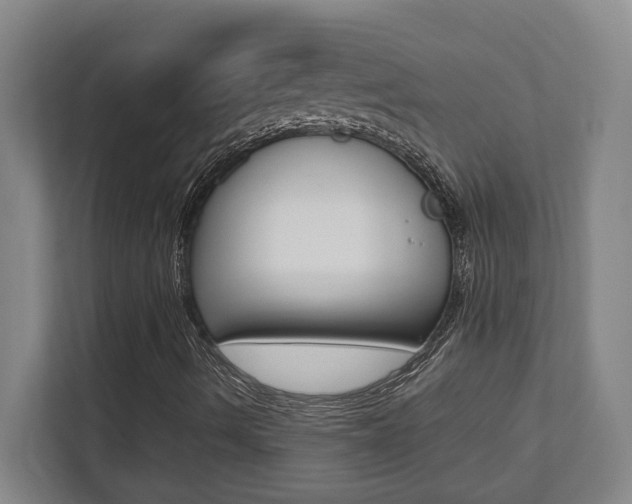 X0000112041490200908031031