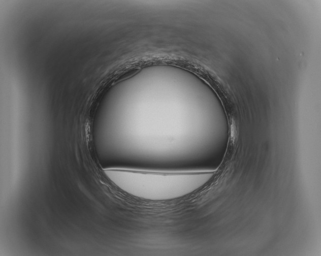 X0000112041492200908031031