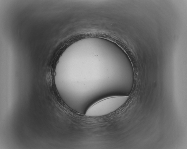 X0000112041493200908031031