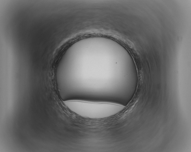 X0000112041494200908031031