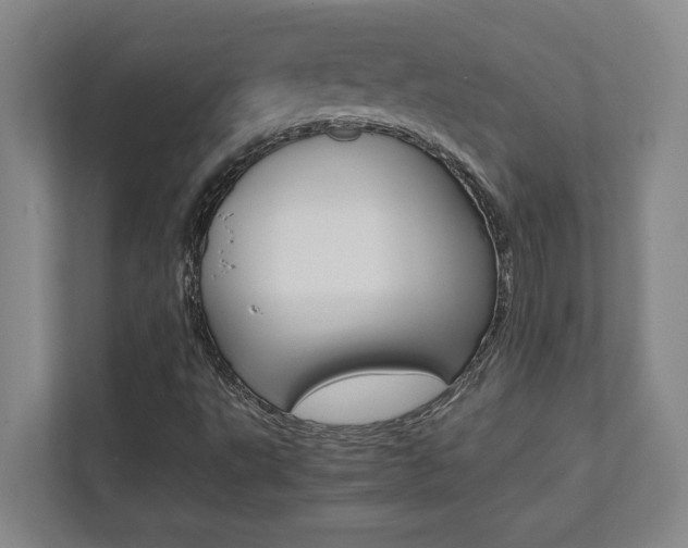 X0000112041495200908031031