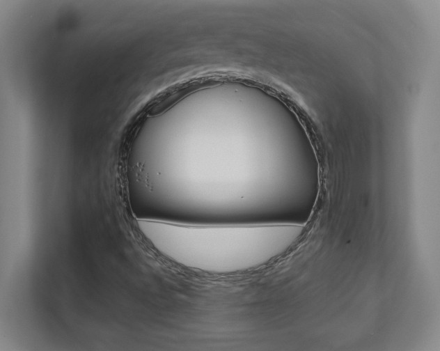 X0000112041496200908031031