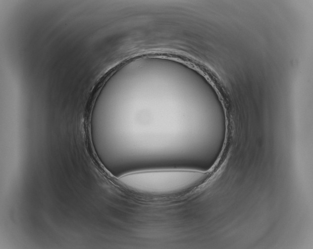 X0000112041497200908031032