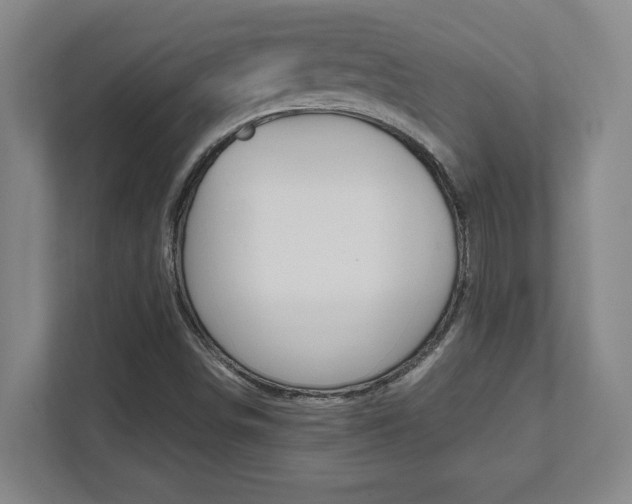 X0000112041498200908031032