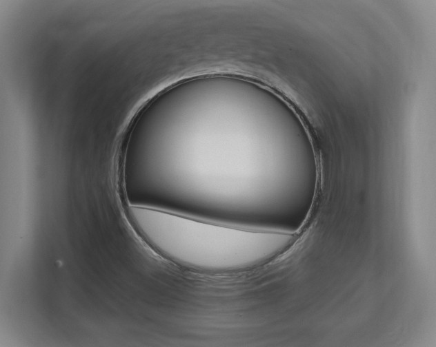 X0000112041500200908031032