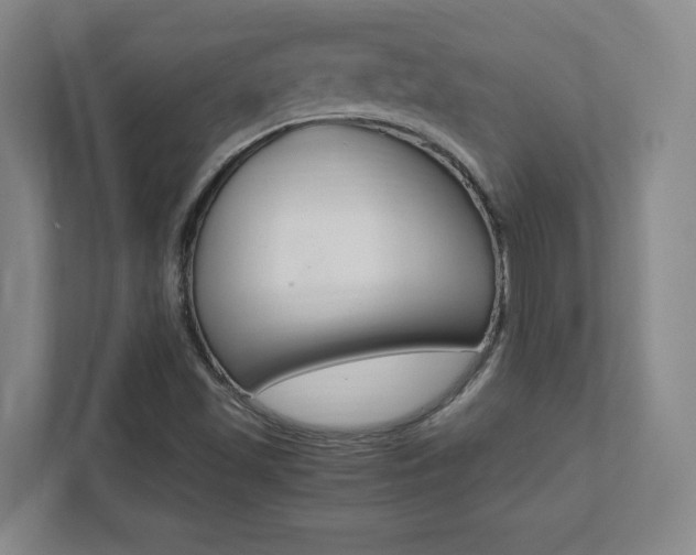 X0000112041501200908031032