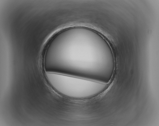 X0000112041502200908031032