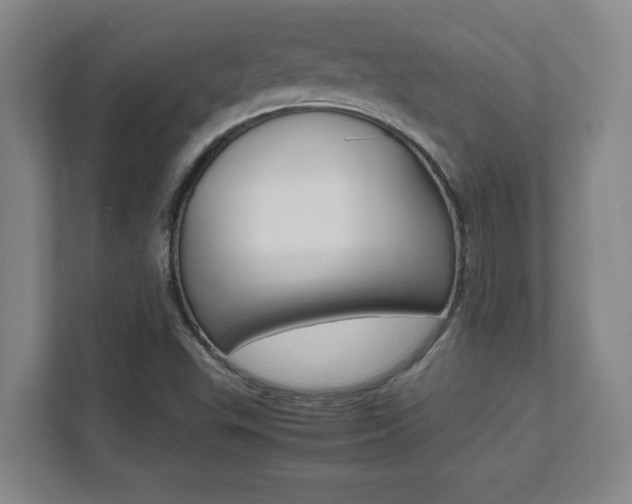 X0000112041503200908031032