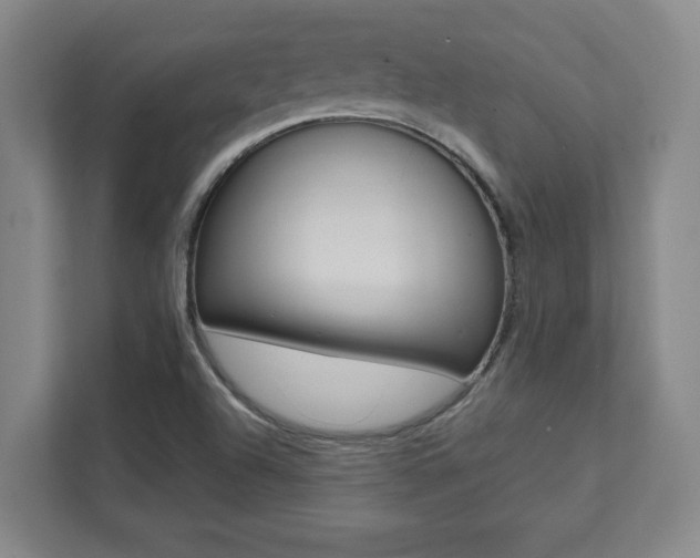 X0000112041504200908031032