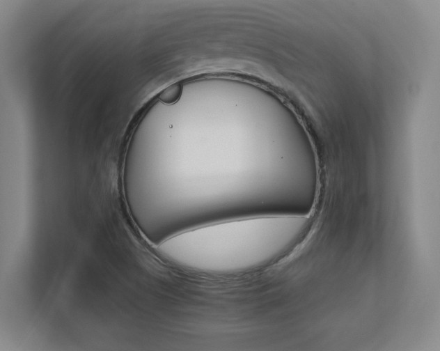 X0000112041505200908031032